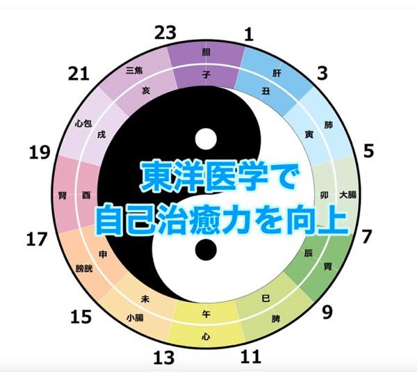 th_B39AD5C6-D87C-45F3-974C-4A32E55996E8_1_105_c.jpg